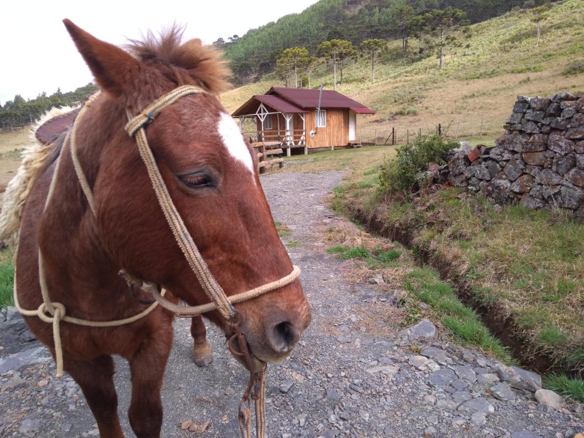 Cabanas Fazenda Da Raia Urubici Exteriér fotografie